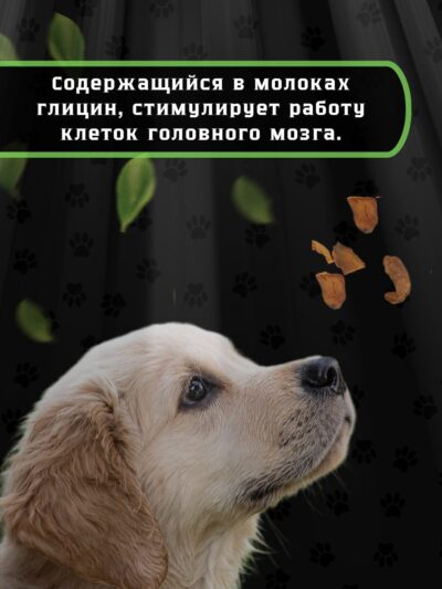 Лакомства из рыбы